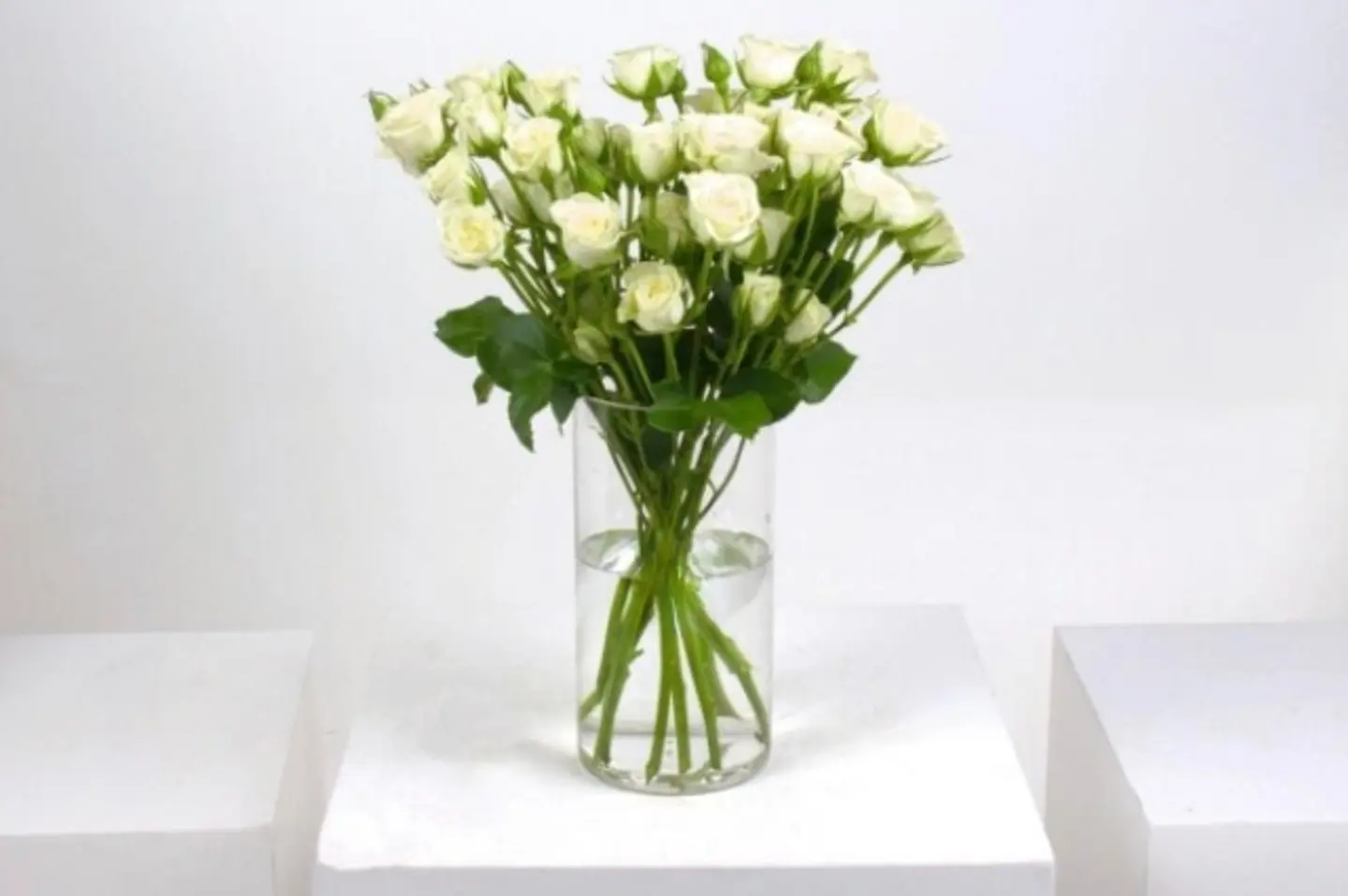 السحاب الورد البيضاء