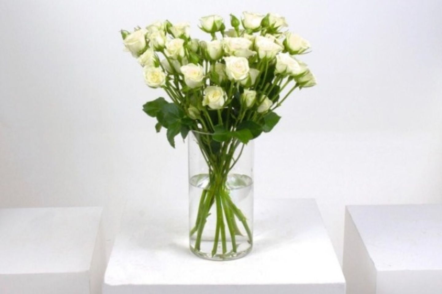 White Rose Clouds