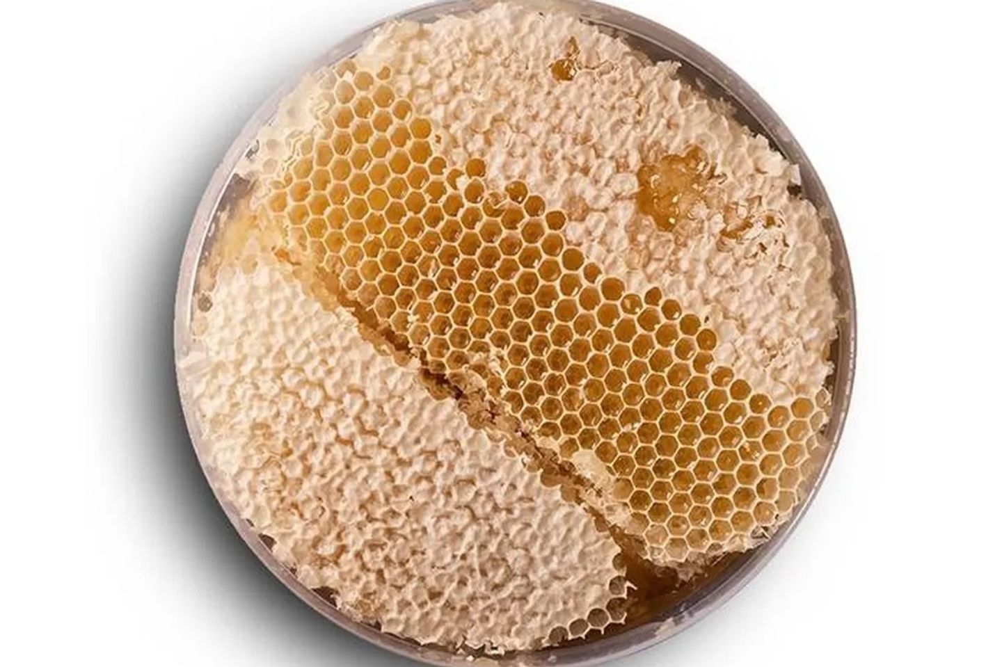 Sidr Beeswax Disc 1 Kg