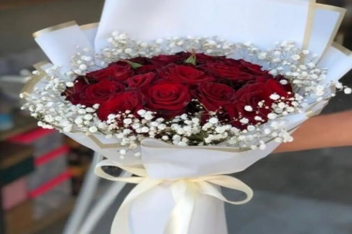 وردة منتصف الليل ١٨