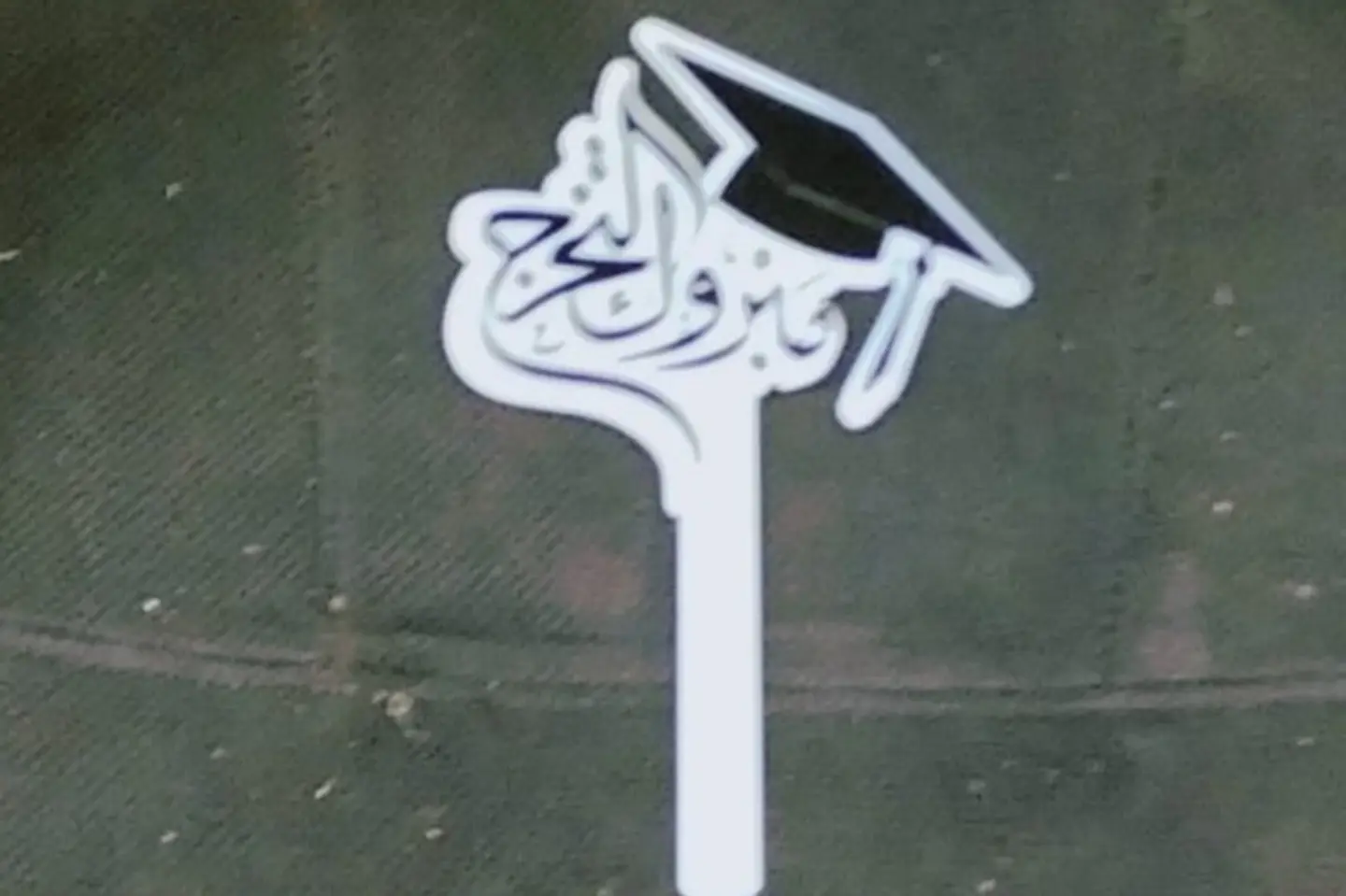 Graduation Garland   White