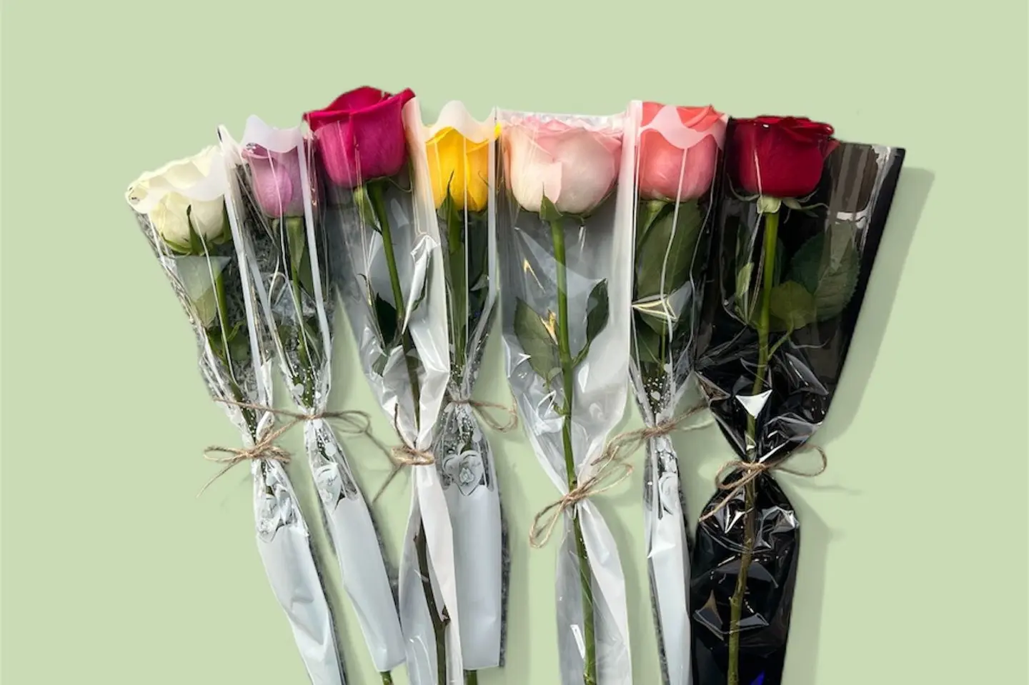 Roses For Give Away