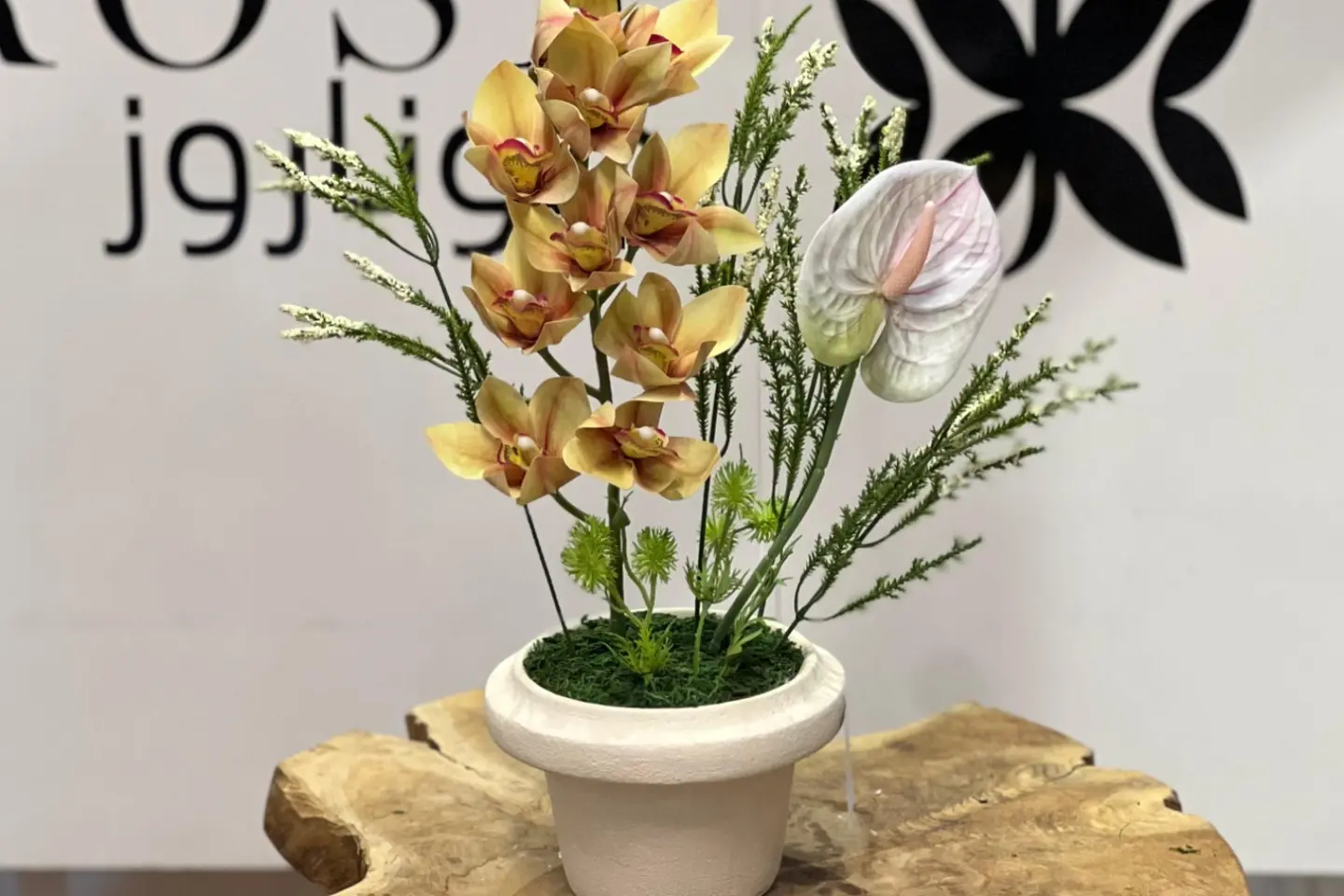 فازات جوناروز ١٢