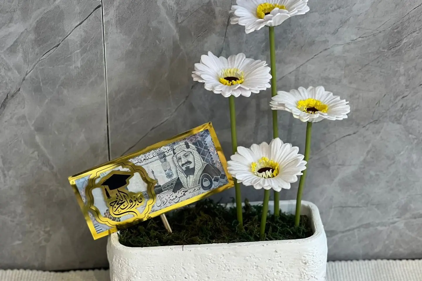 فازة الجلبيرا