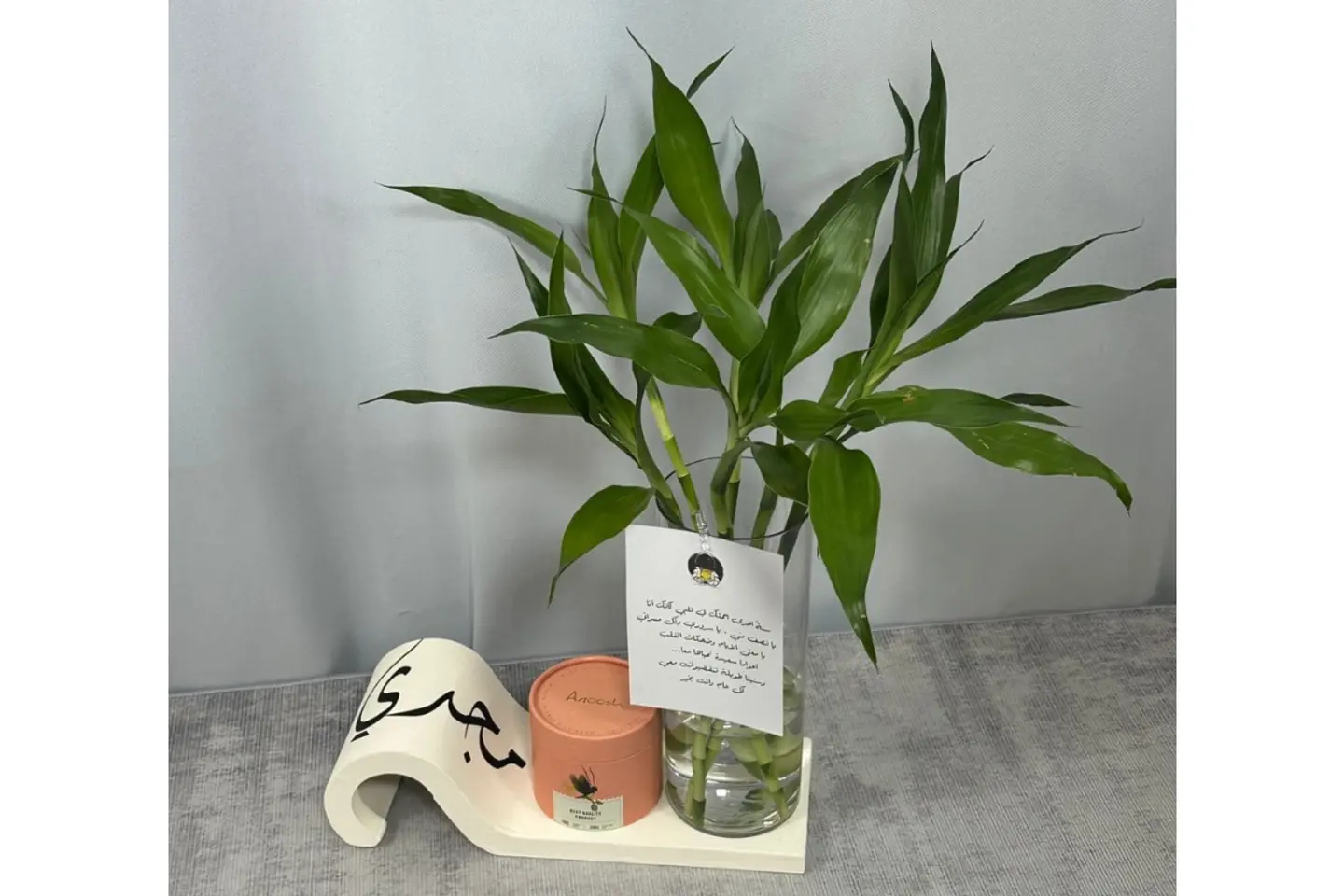 قاعدة البامبو مع أنوش