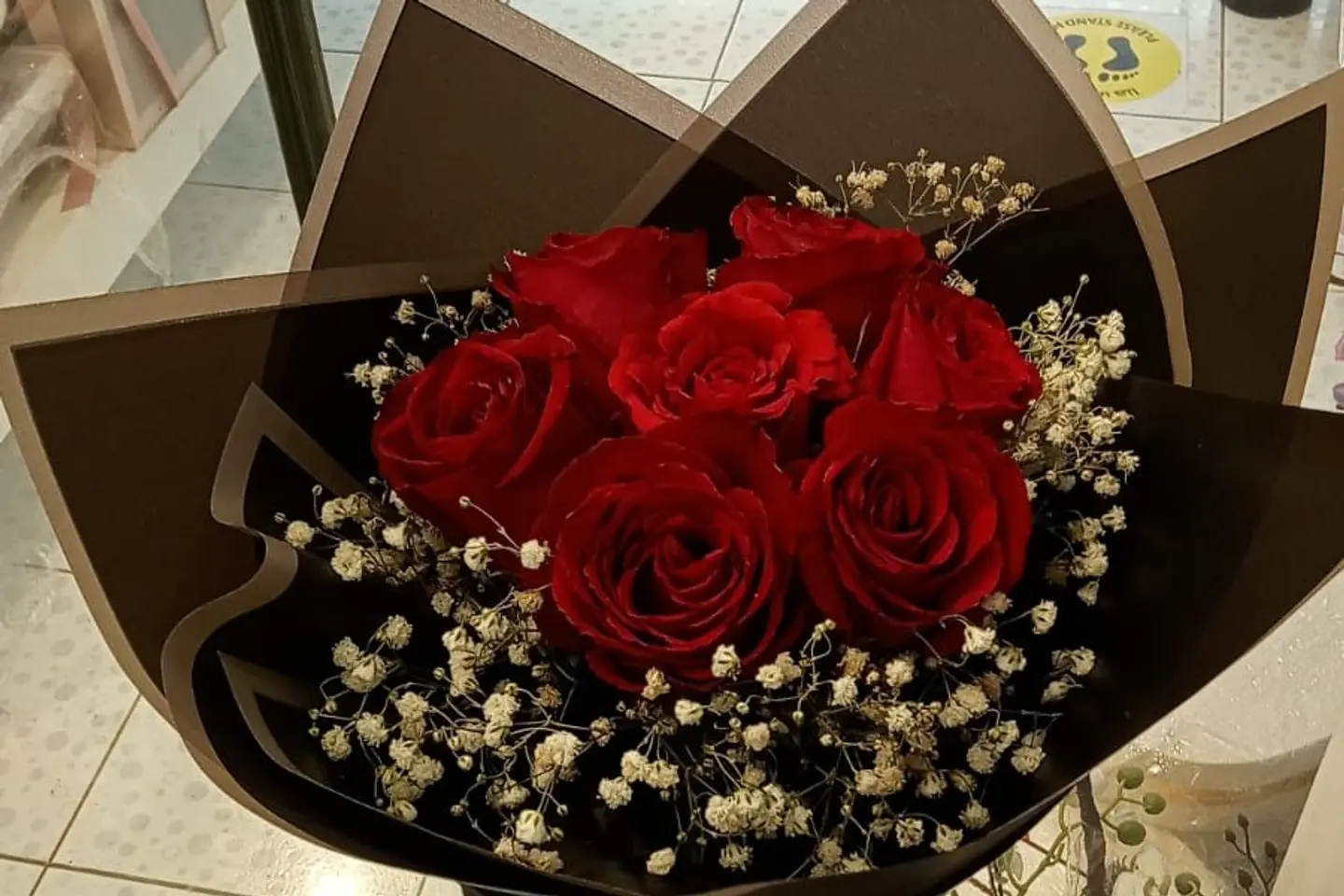 جوري احمر صغير