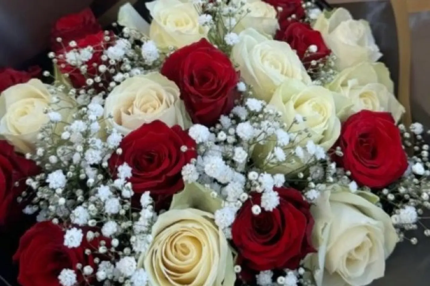 نقاء الأحمر والأبيض ٢٥