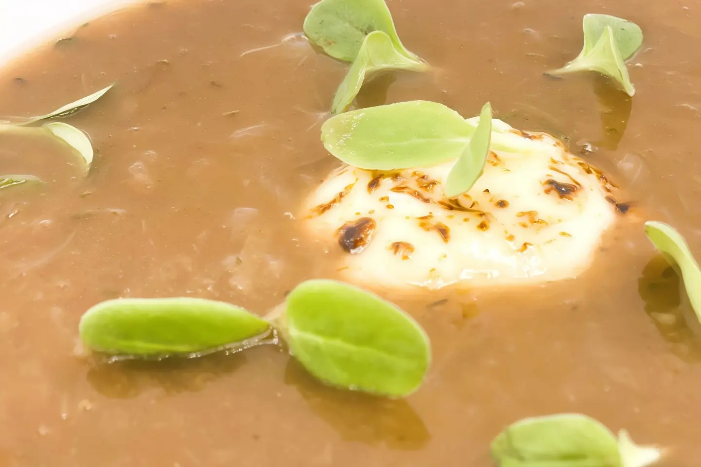 Onion Soup
