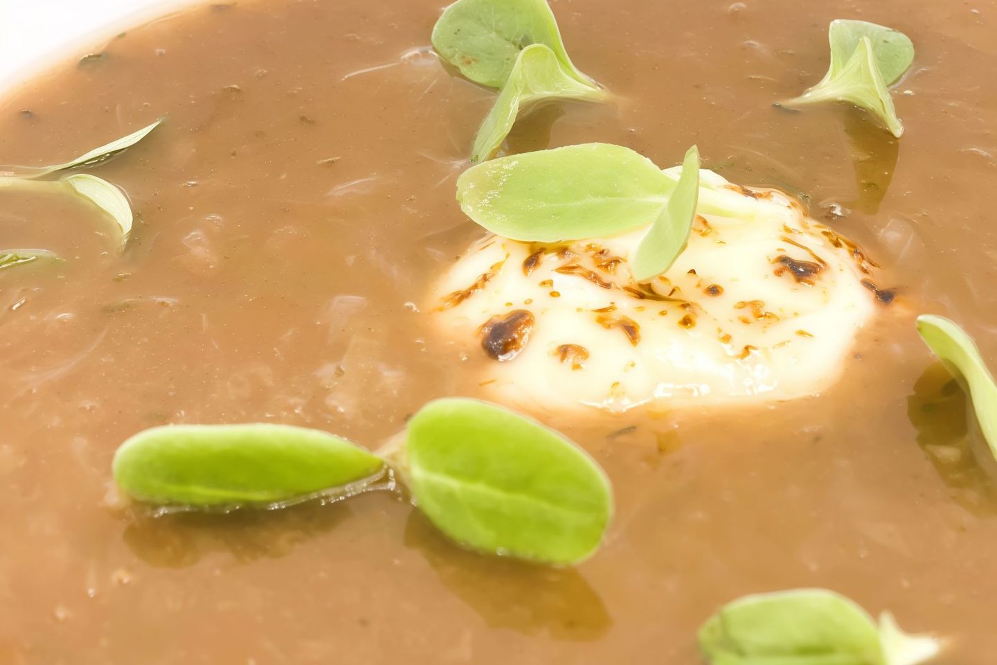 Onion Soup