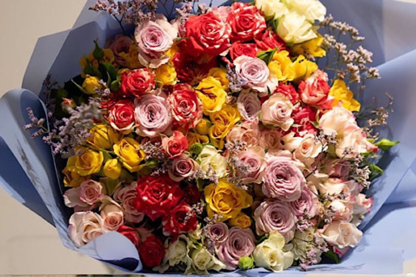 Coloured Rose