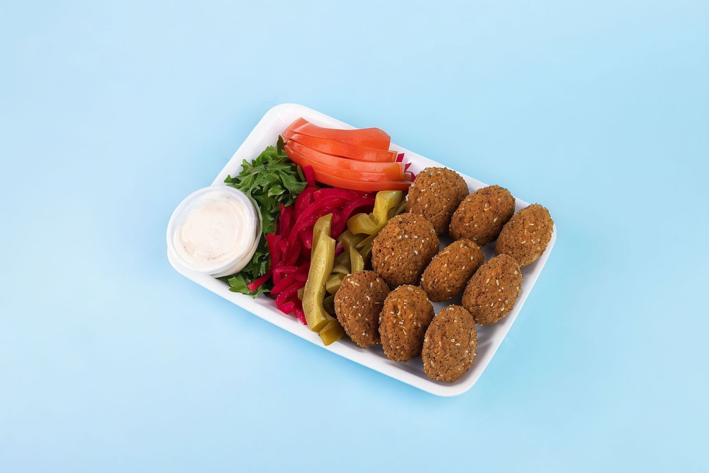 Falafel Regular Dish