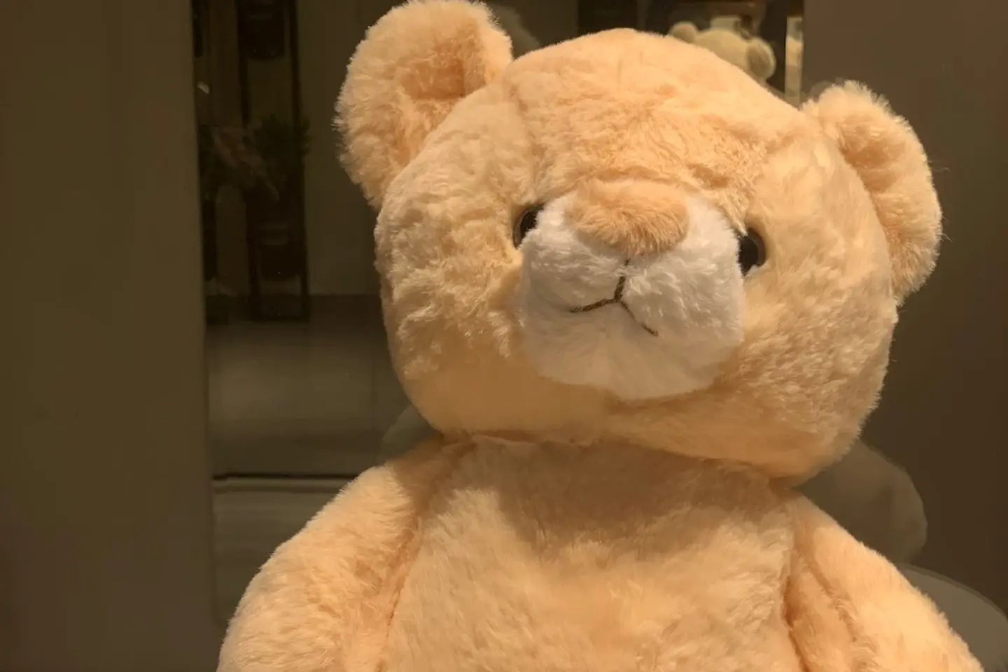 Light Brown Teddy Bear