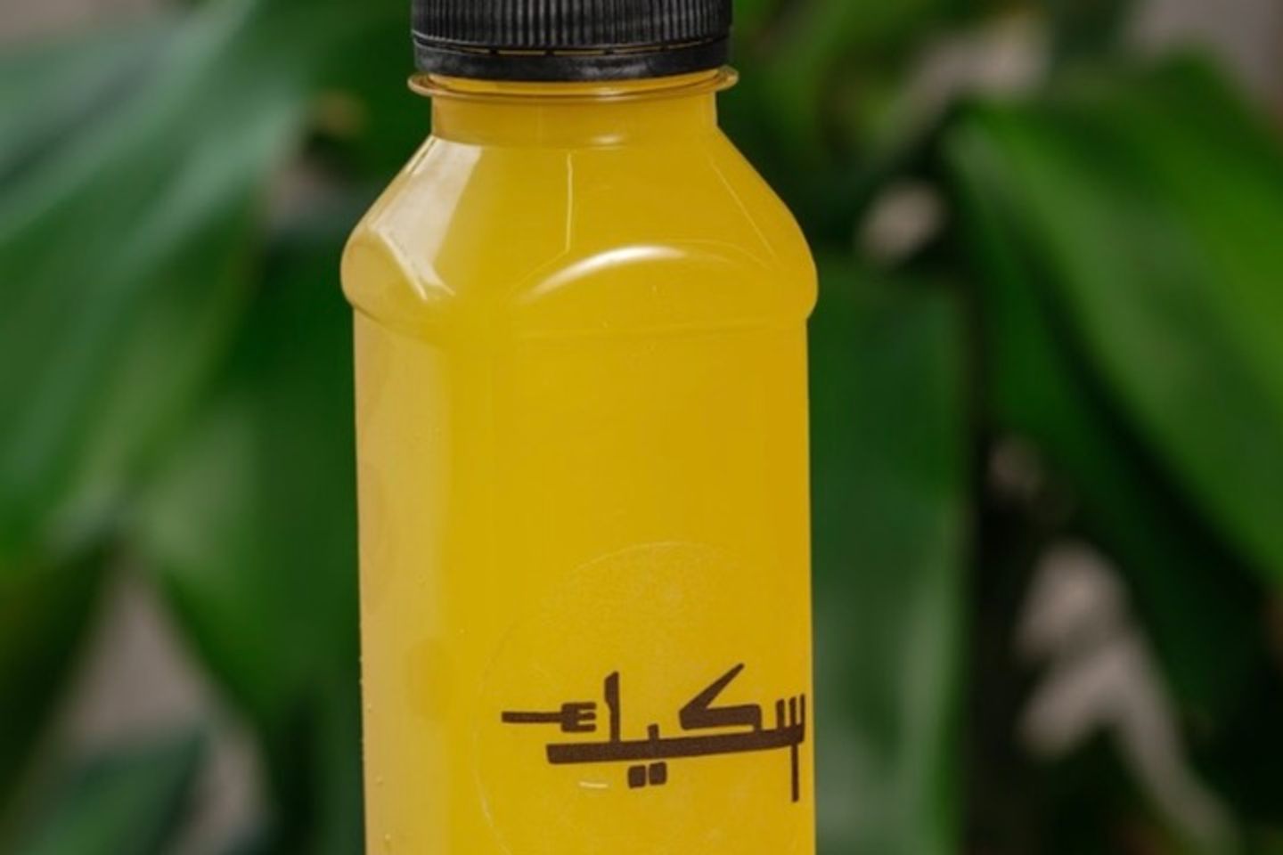 Fresh Orange Juice