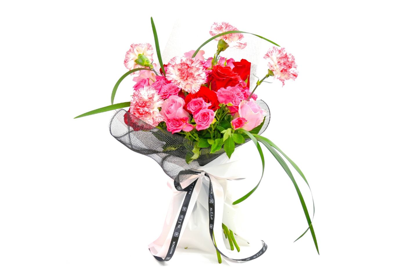 Carnation Blossoms