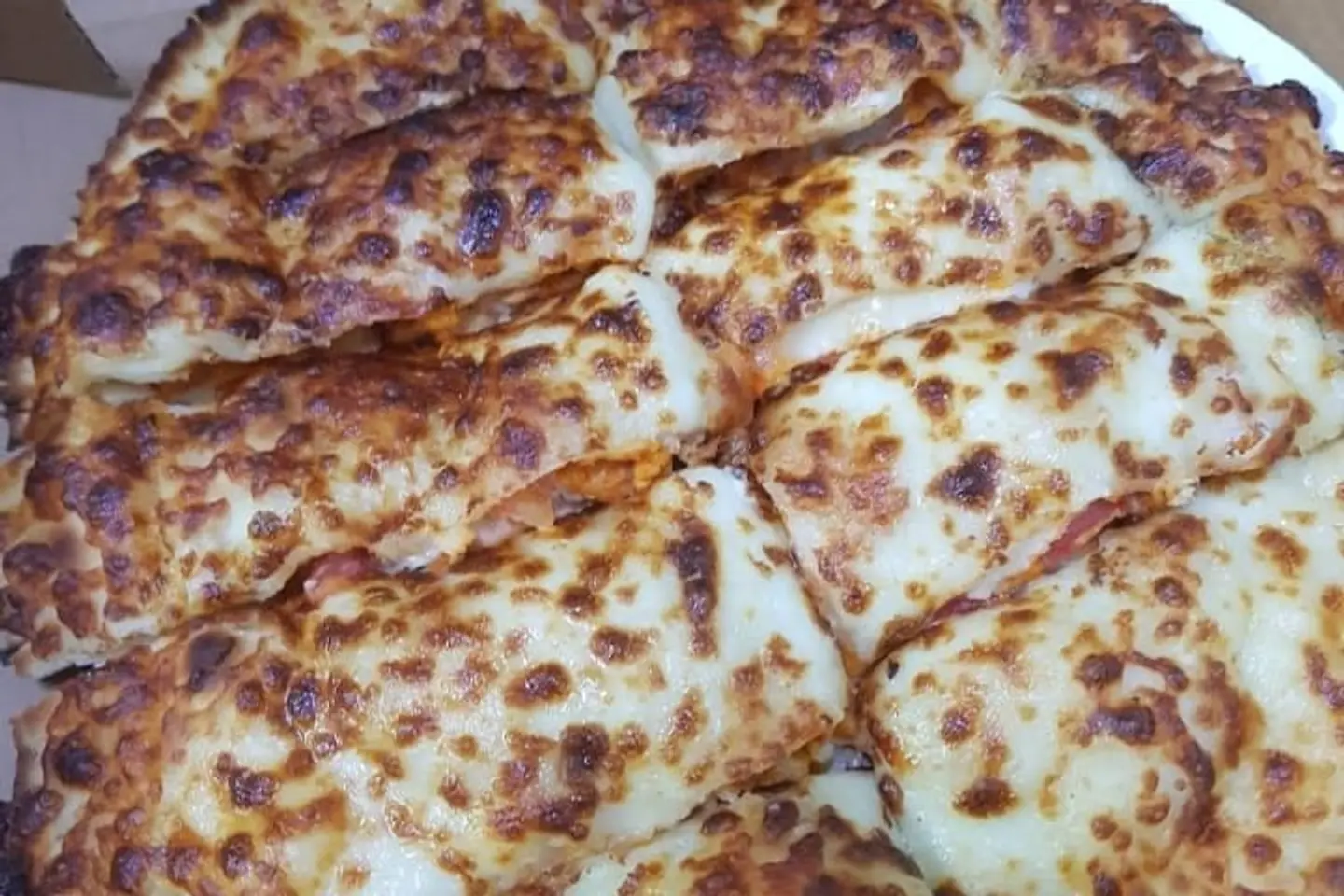 رهيبة تونة صغير