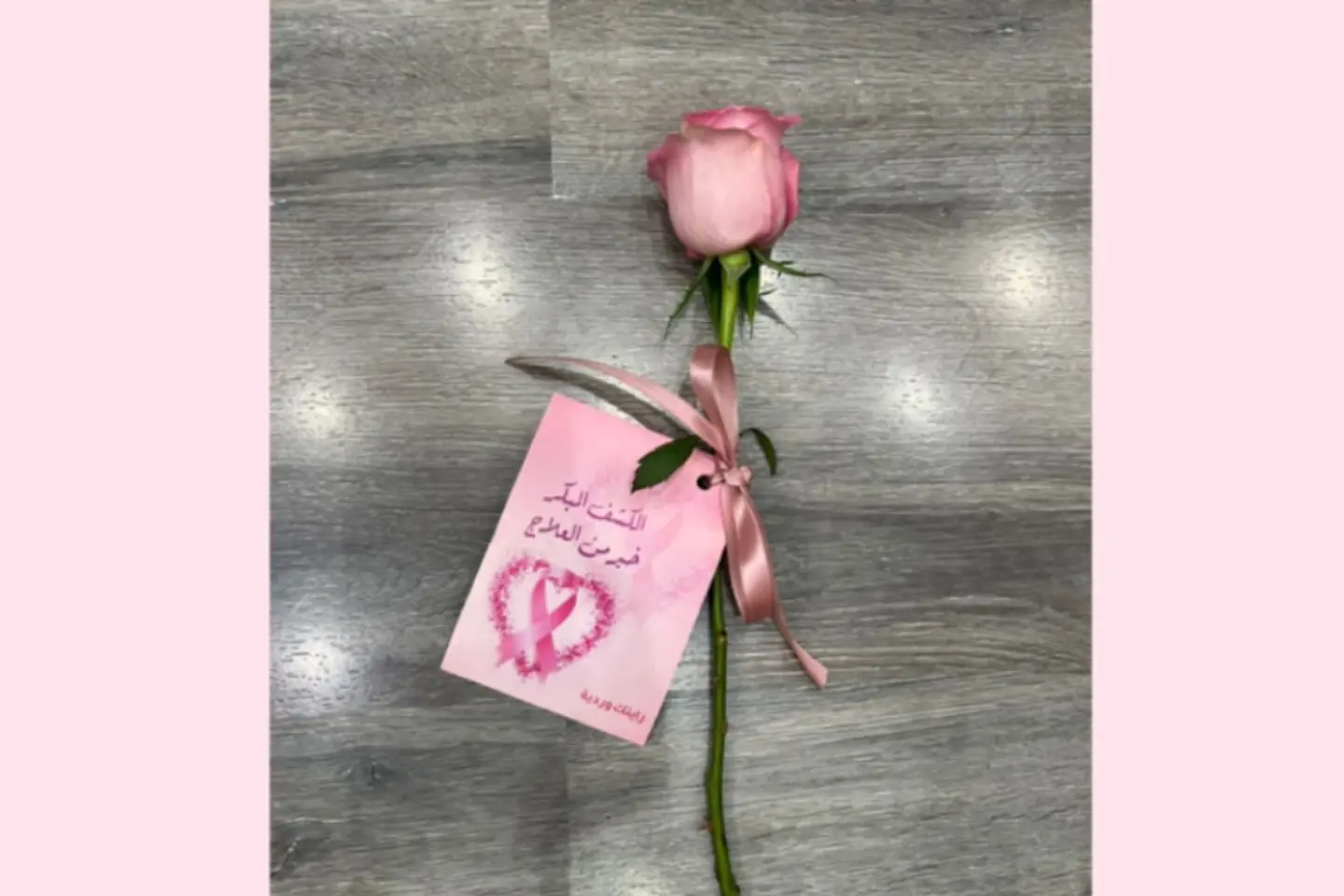 Pink October Rose