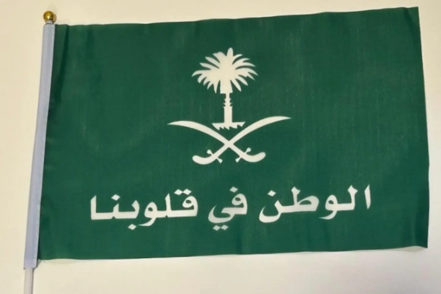 علم الوطن - ٢٠ في ٣٠سم