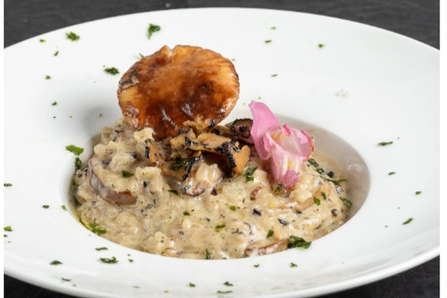 Risotto Fungi Tartufo