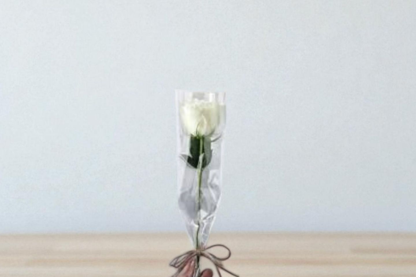 White Rose