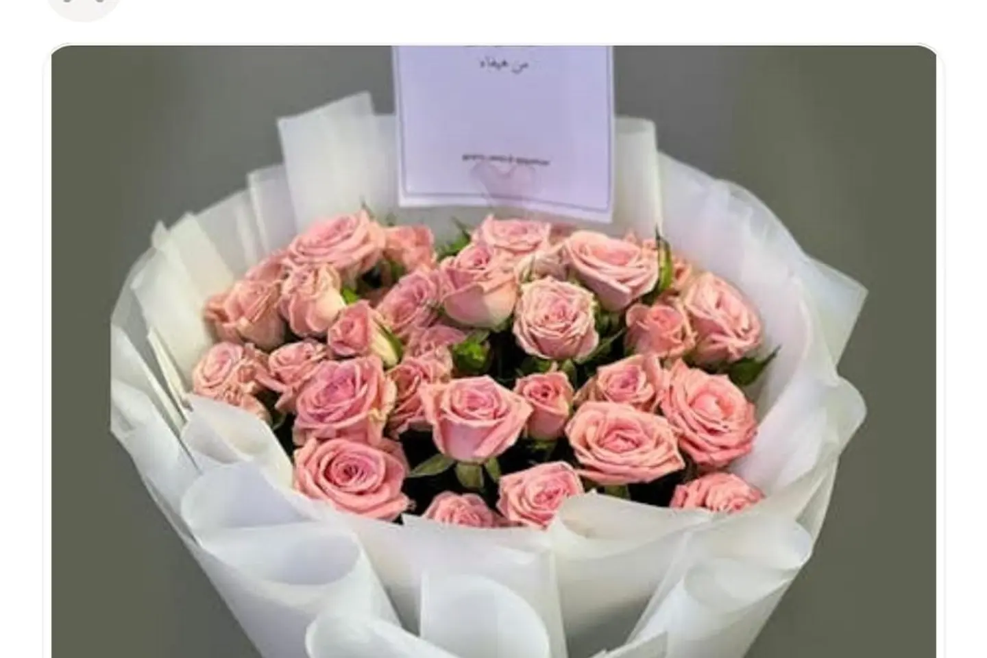 بيبي روز بنك