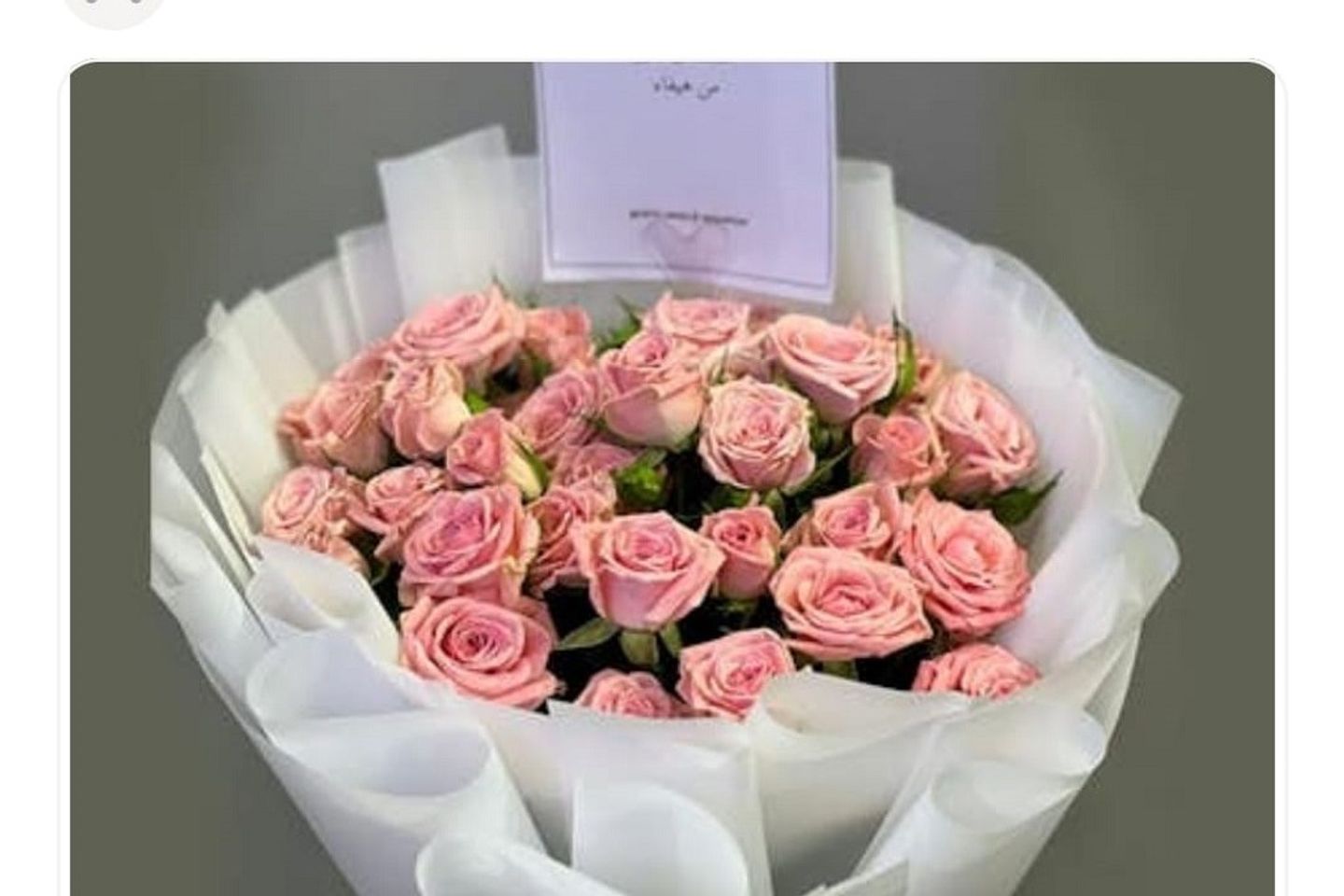 بيبي روز بنك