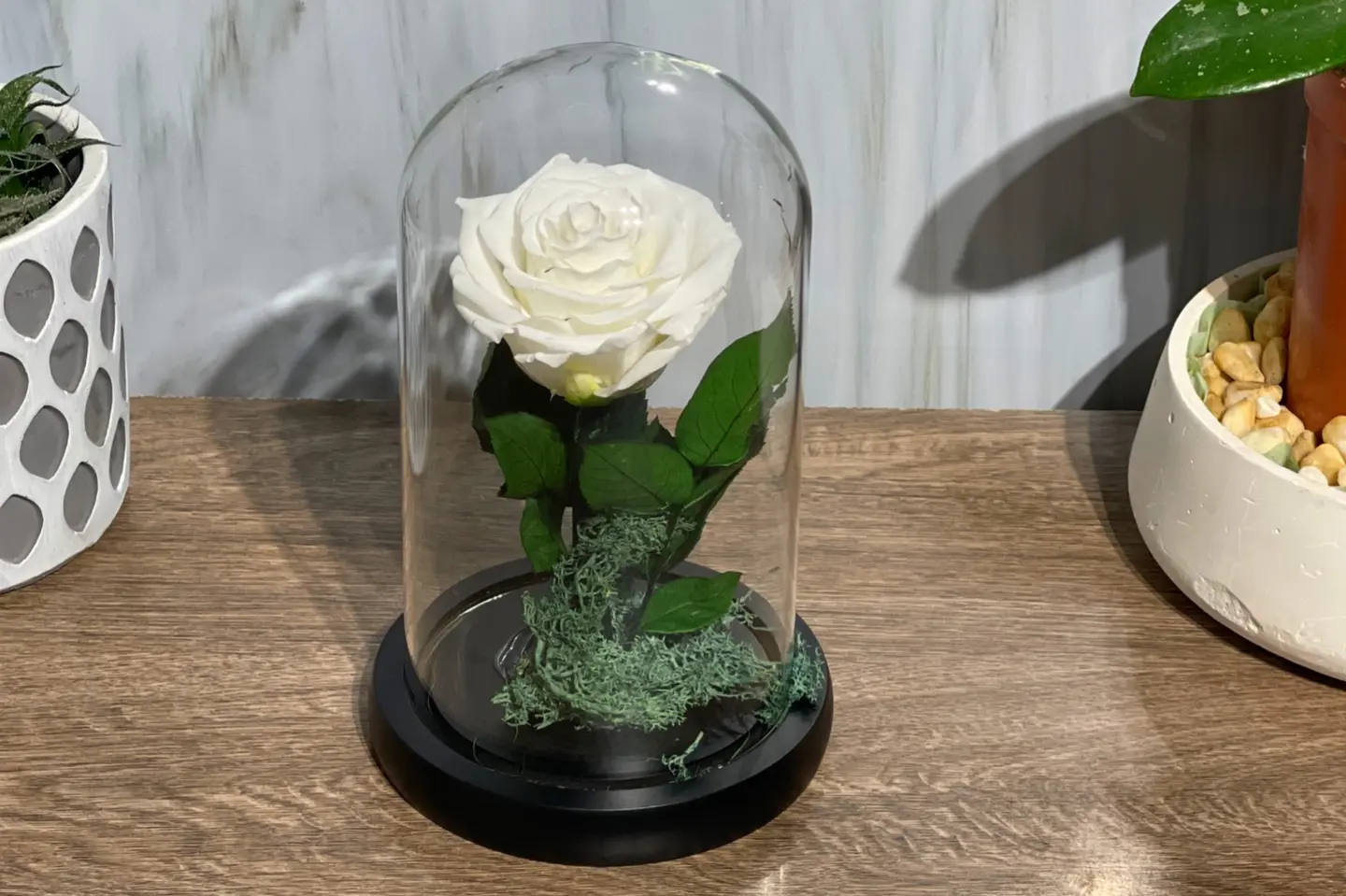 فازة ورده دائمه ابيض