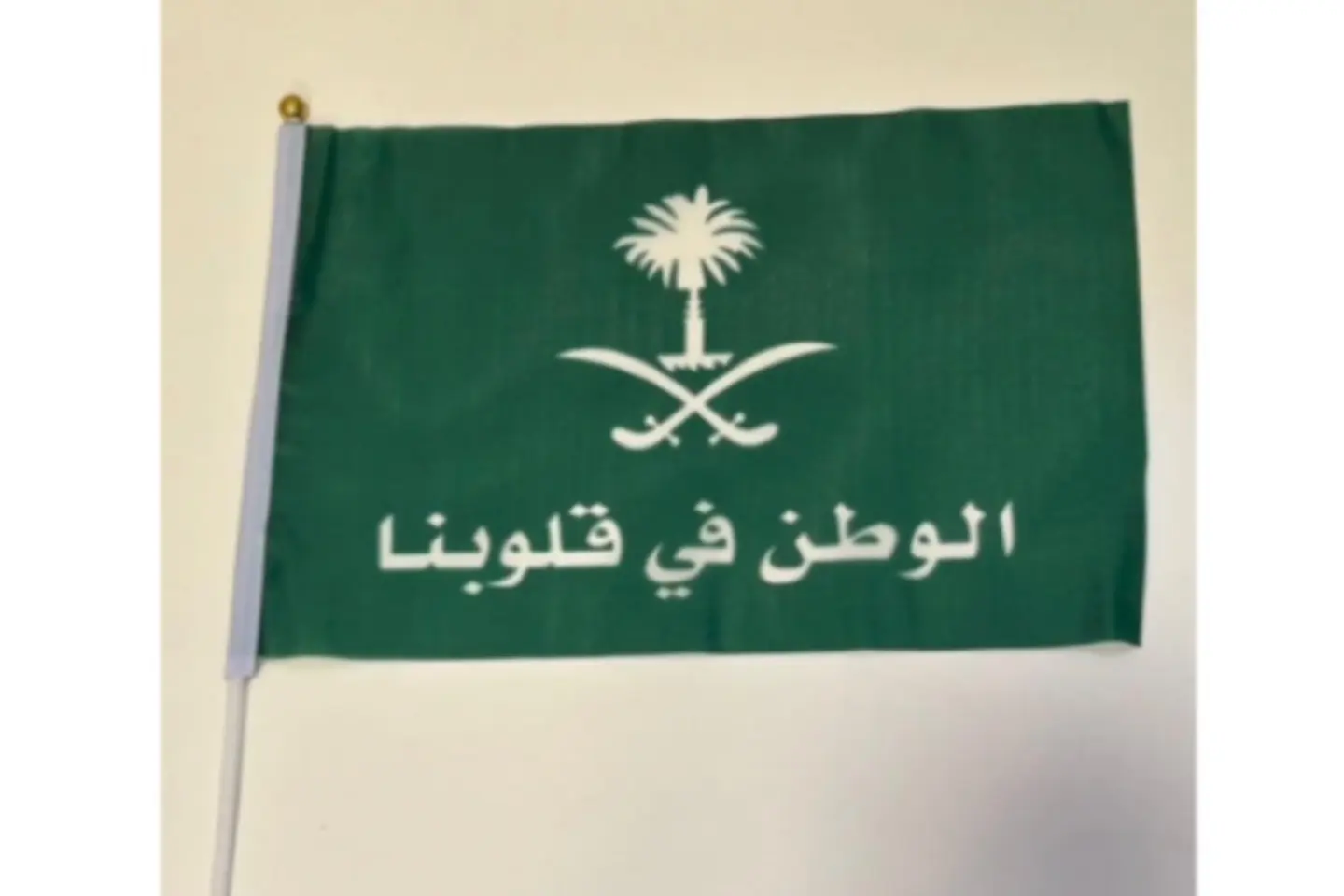 Flag Watan 20x30cm