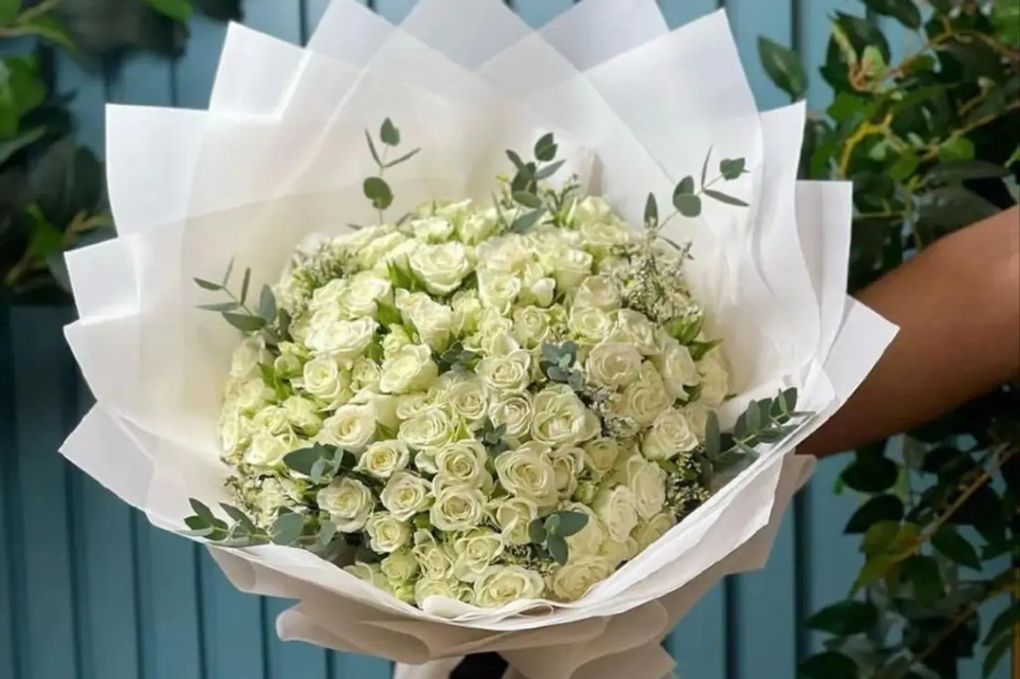 وردة وشتلة ٠٠٢٣٣