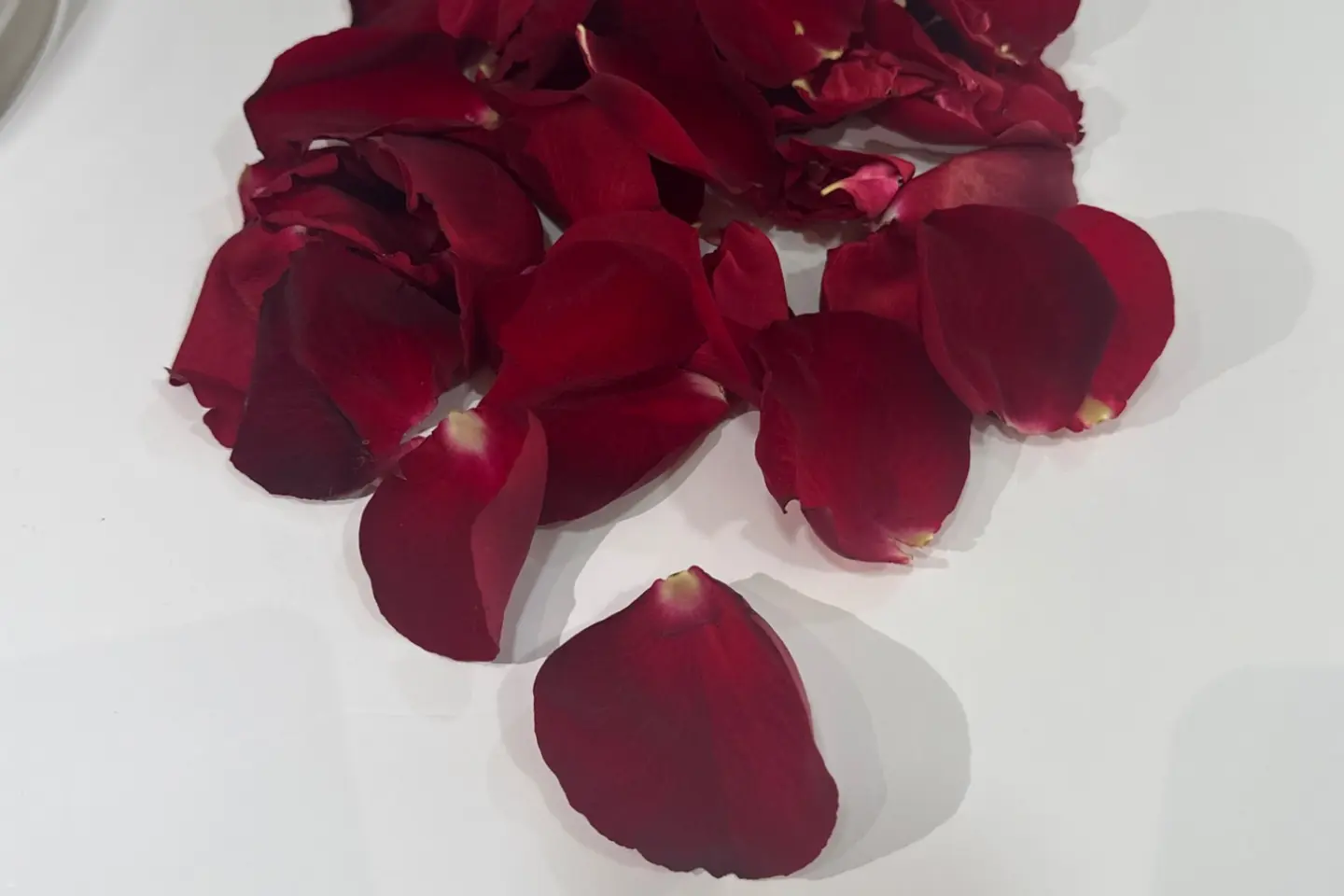 Rose Petals