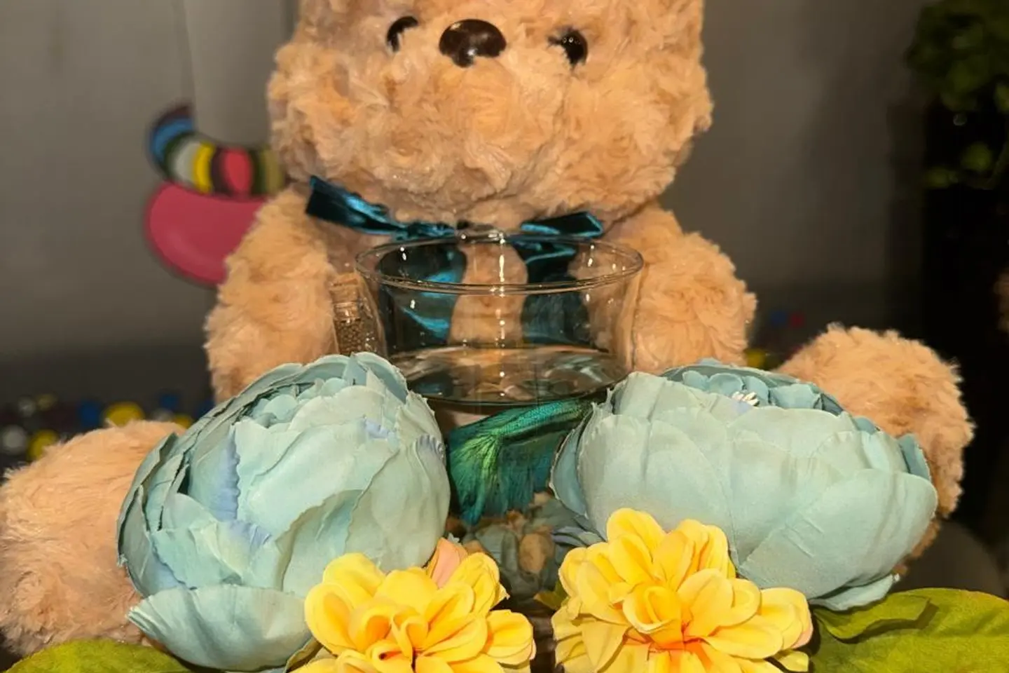 سمكة الدب اللطيف والورد