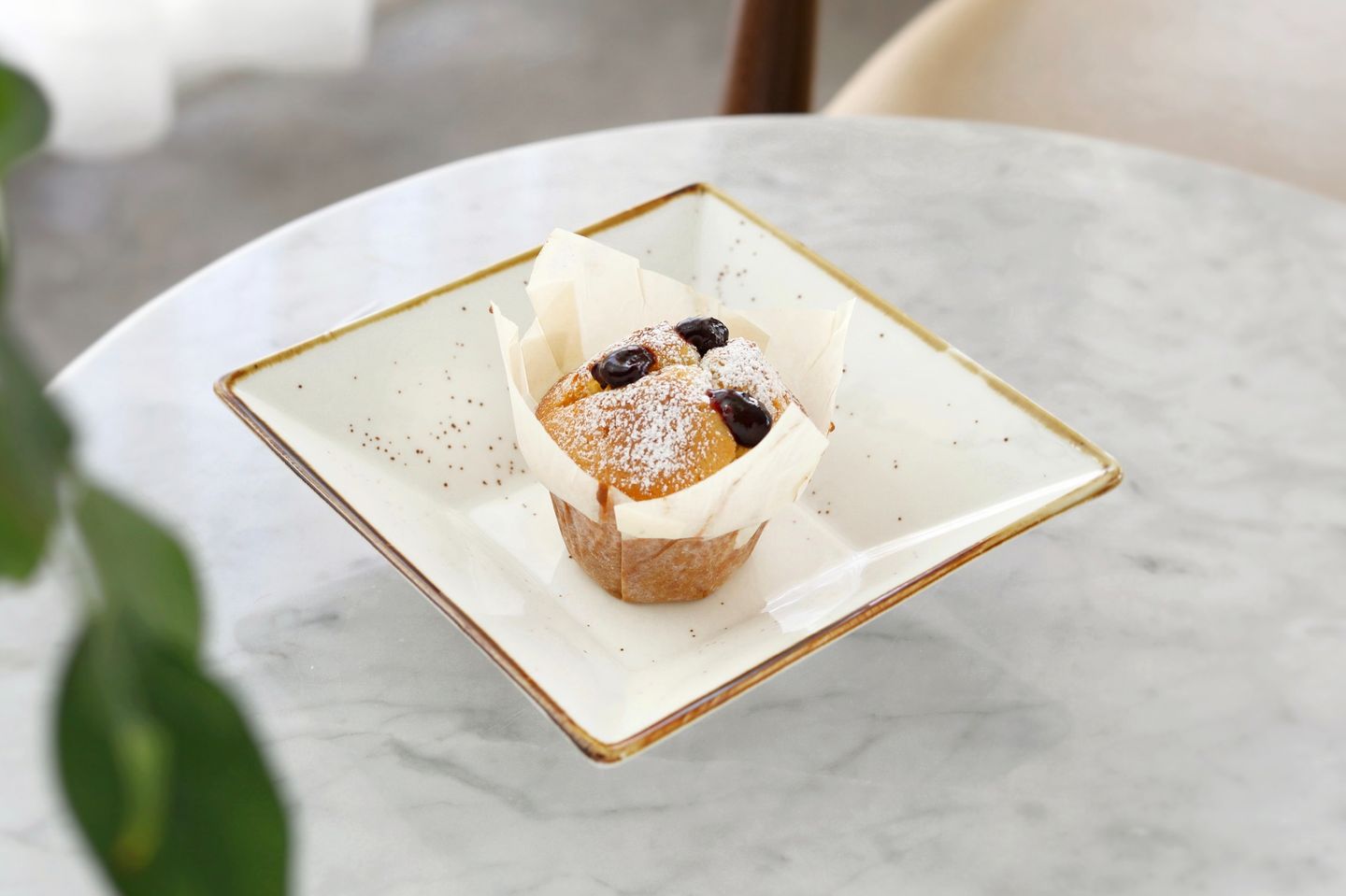 Blueberry Muffin