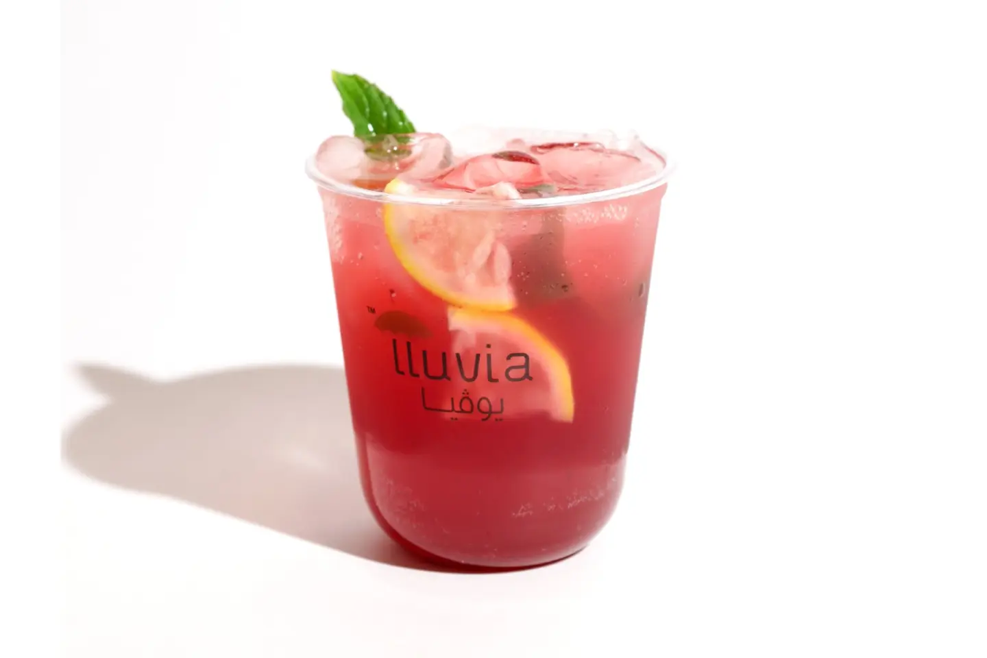 Watermelon Mojito