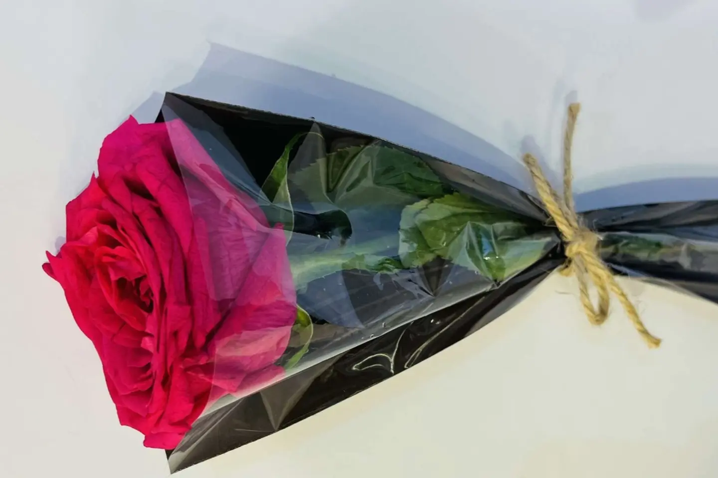 وردة جوري فوشي