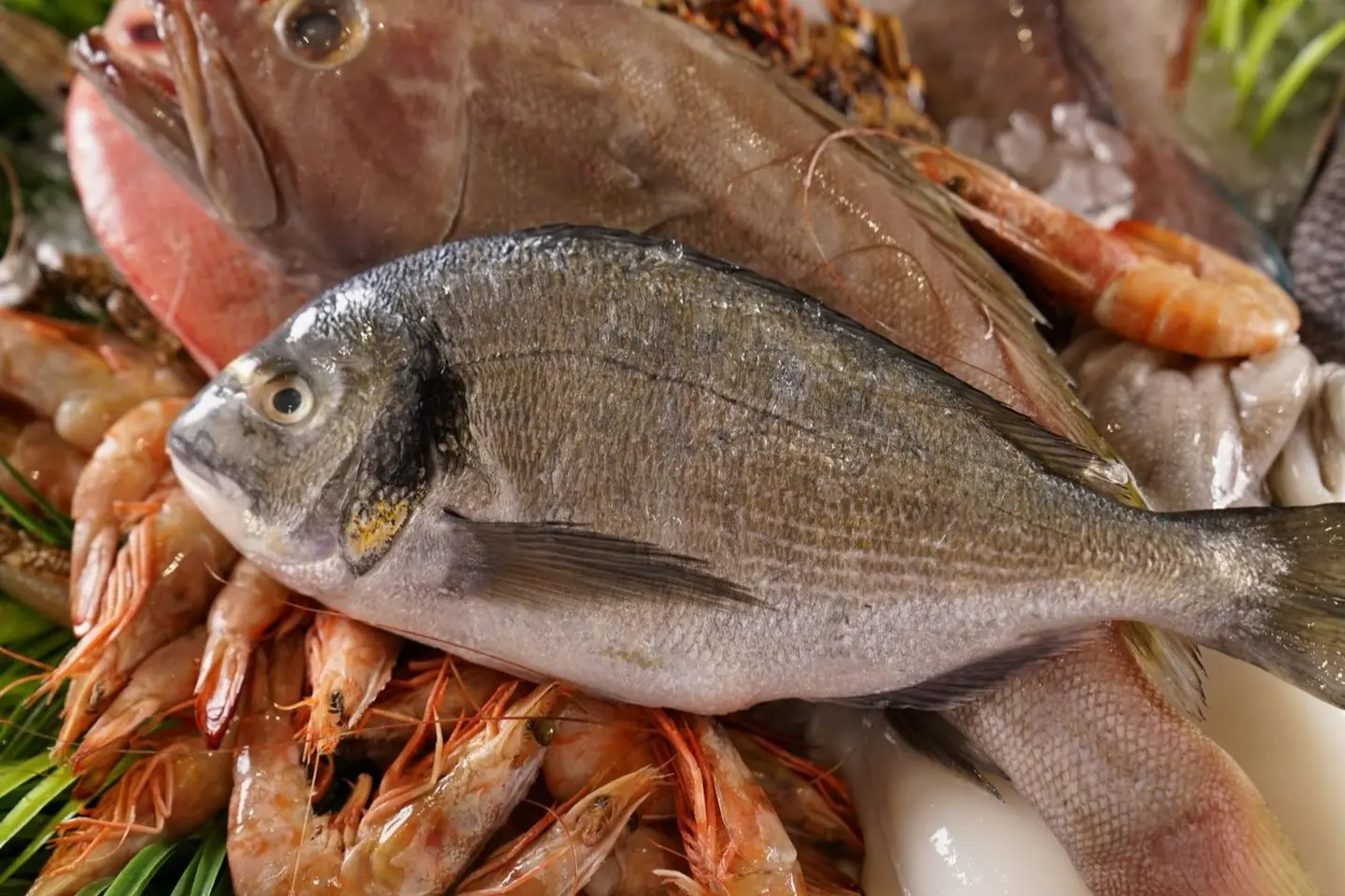 Seabream 400 Gm