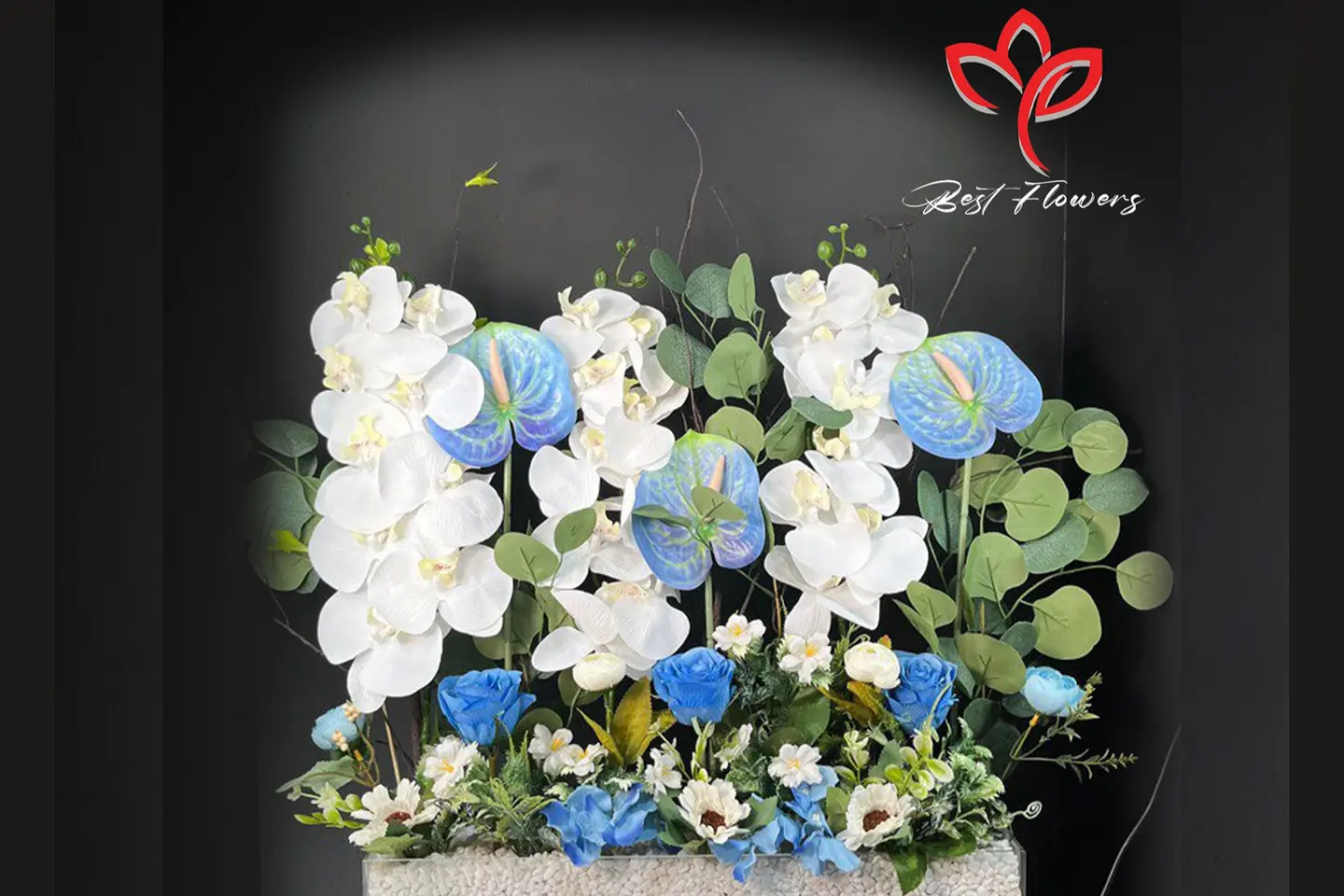 استند مولود