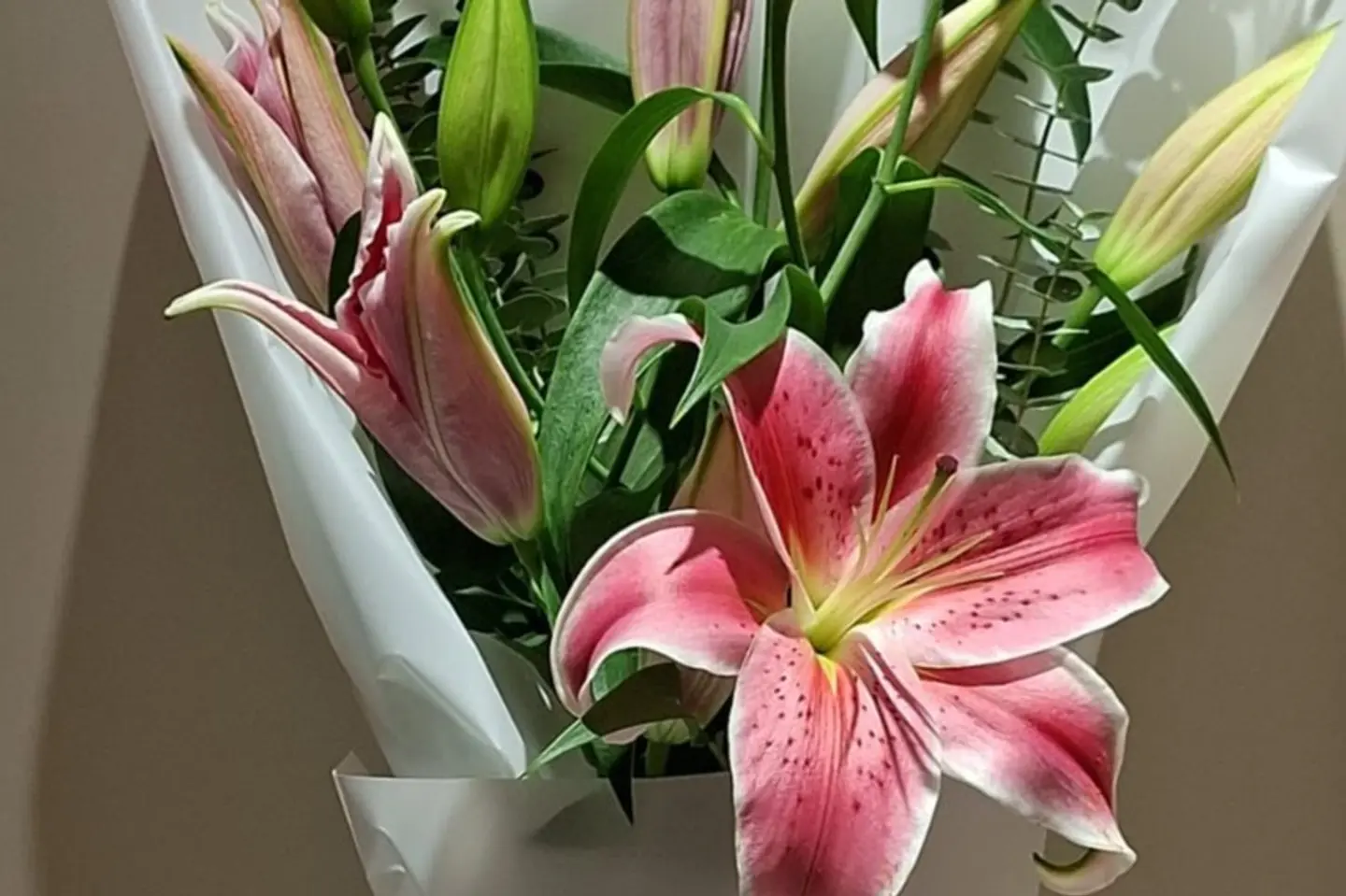 باقة الليليوم