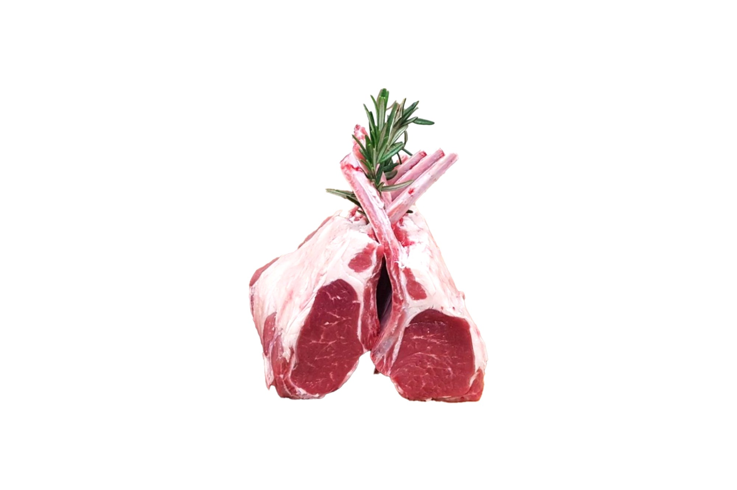 ريش غنم استرالي من يونين ستيشن