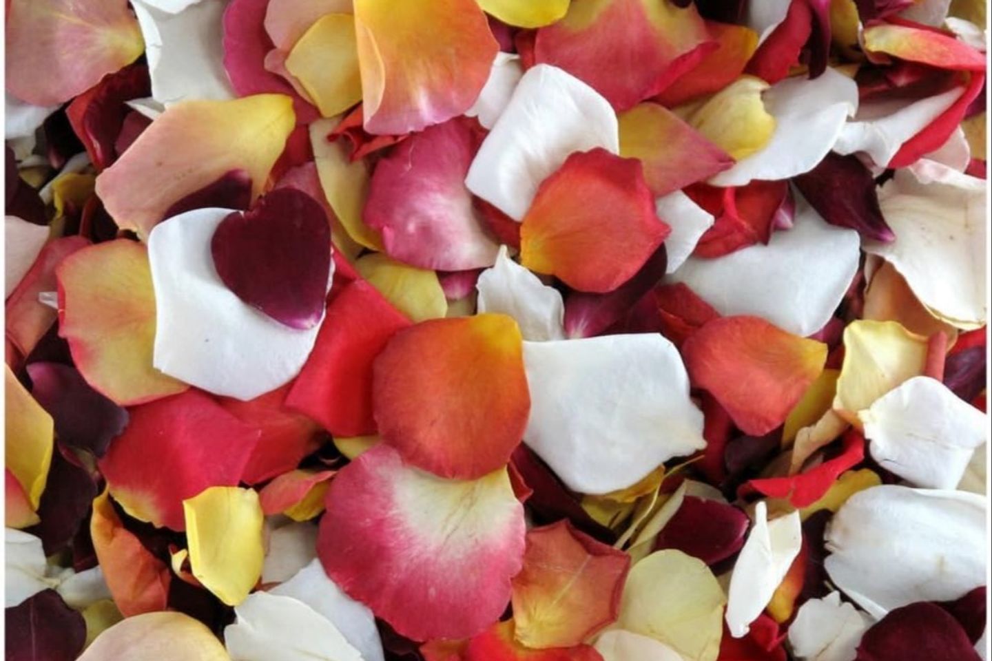 Rose Petals Mixed Small