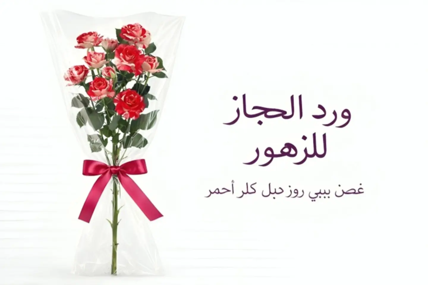 Rose   570