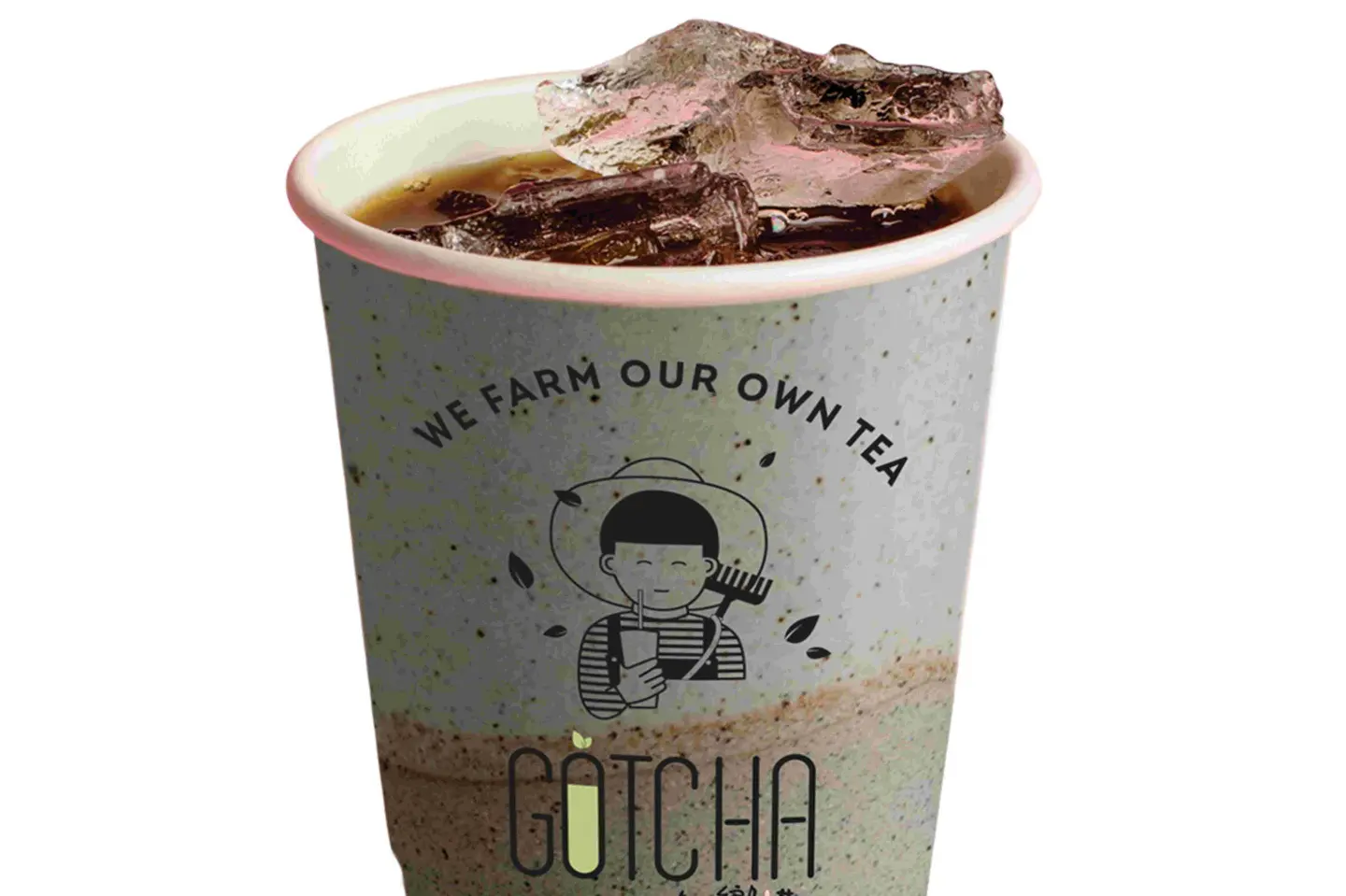 Coffee Of The Day   Cold