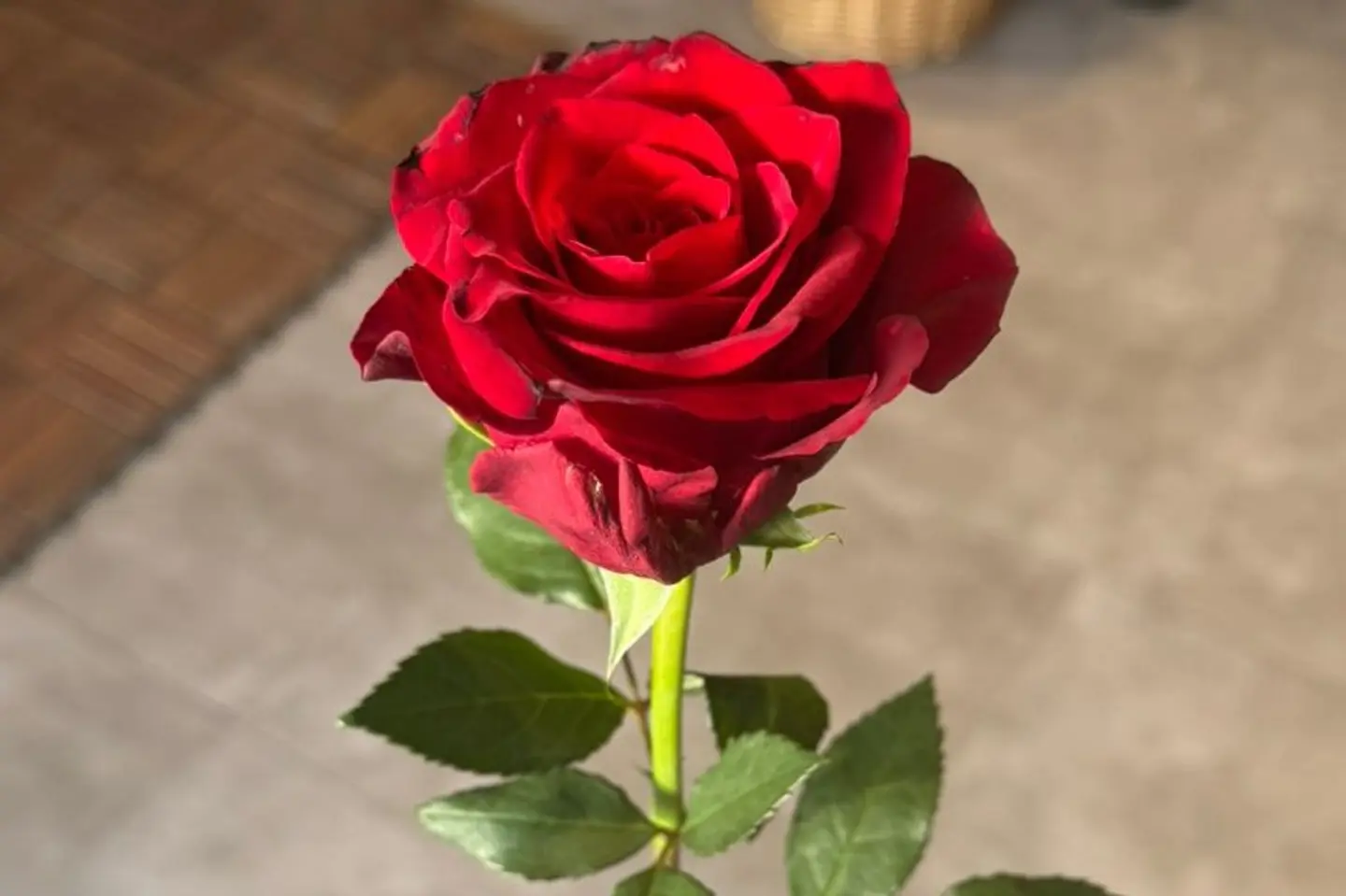 روز أحمر