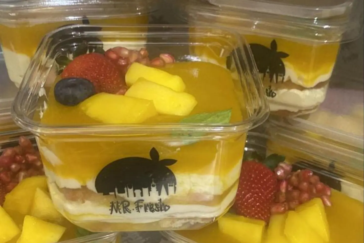 Travel Mango
