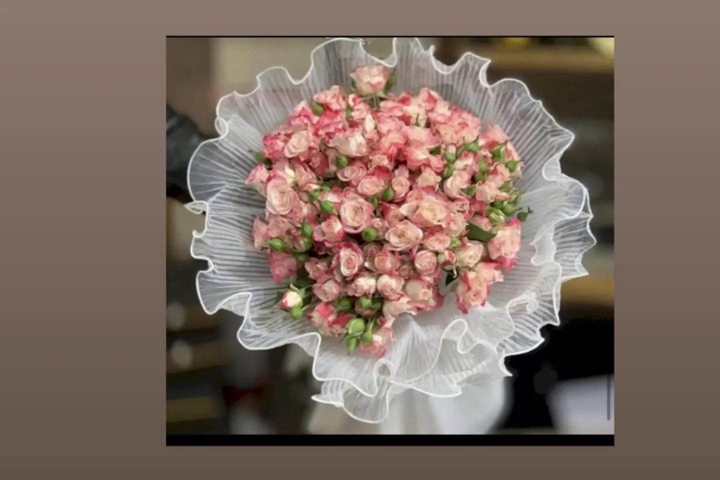 The Elegant Creativity Package