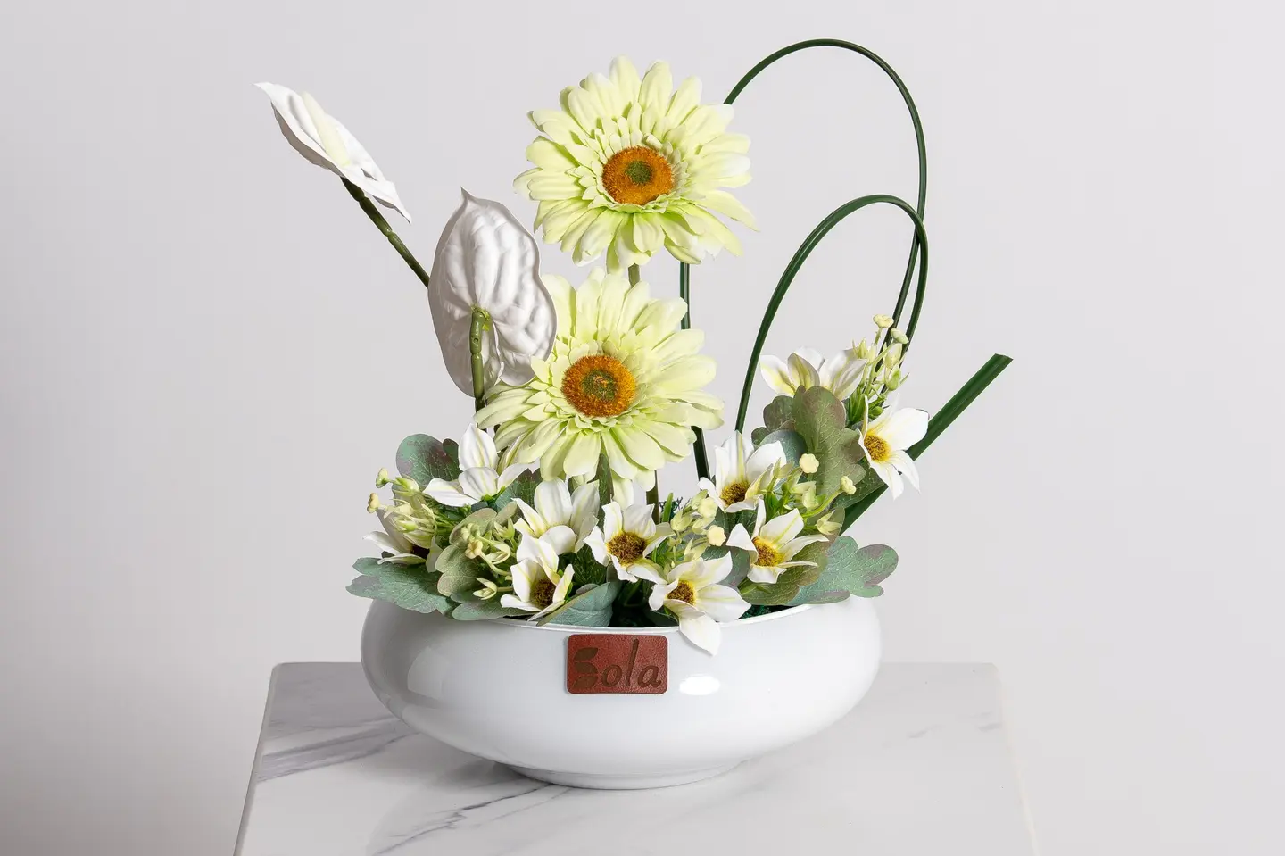 فازة جمال الجربيرا