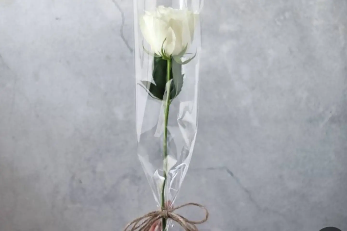 One Rose