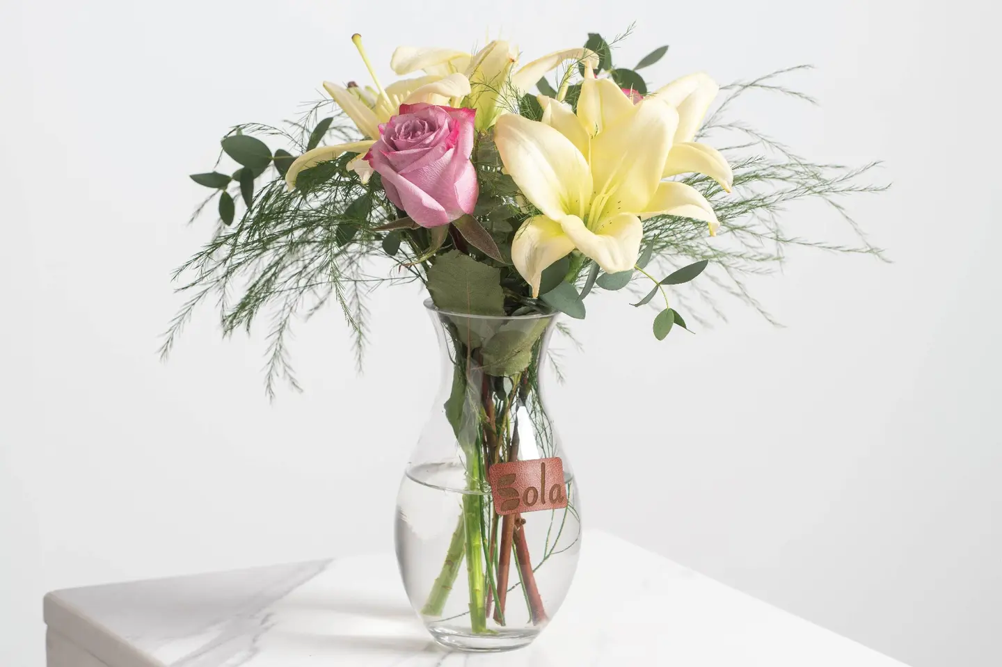 فازة ميني عبق الطبيعة