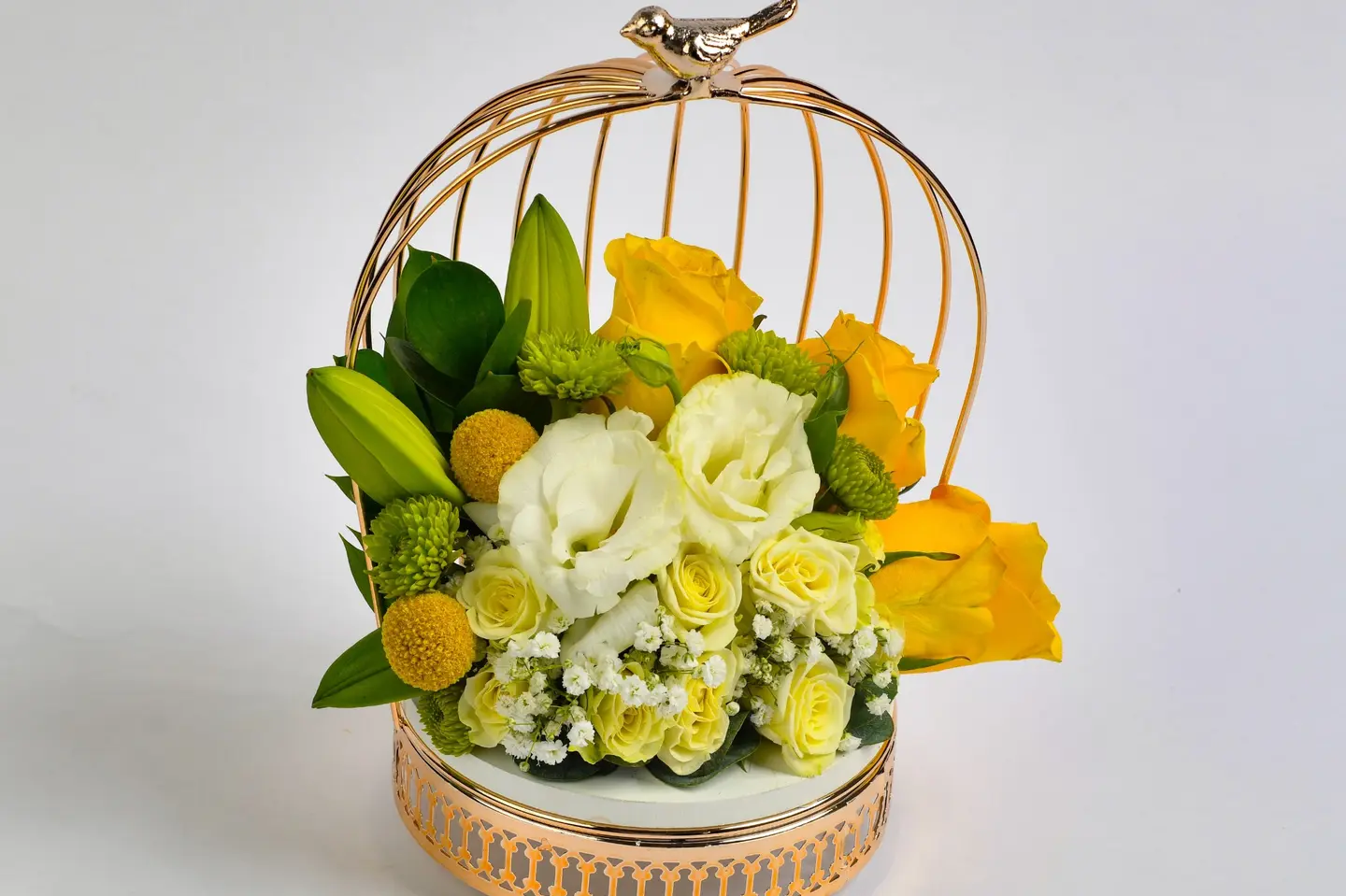 وردة و شتلة٠٠٠٠٠٨