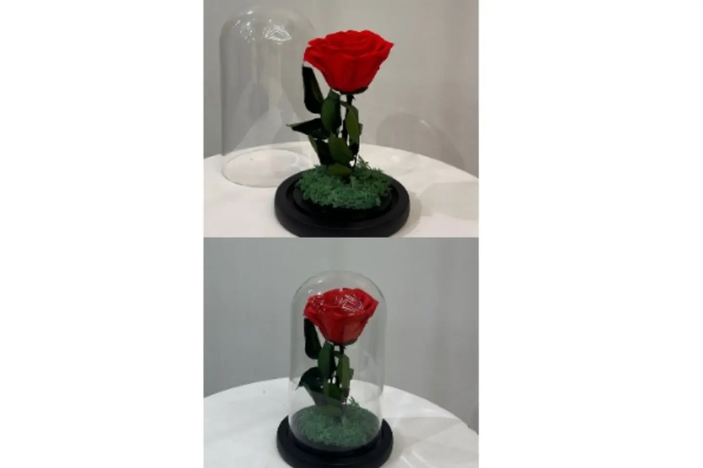 Flowers Orginal But Sem Artificial