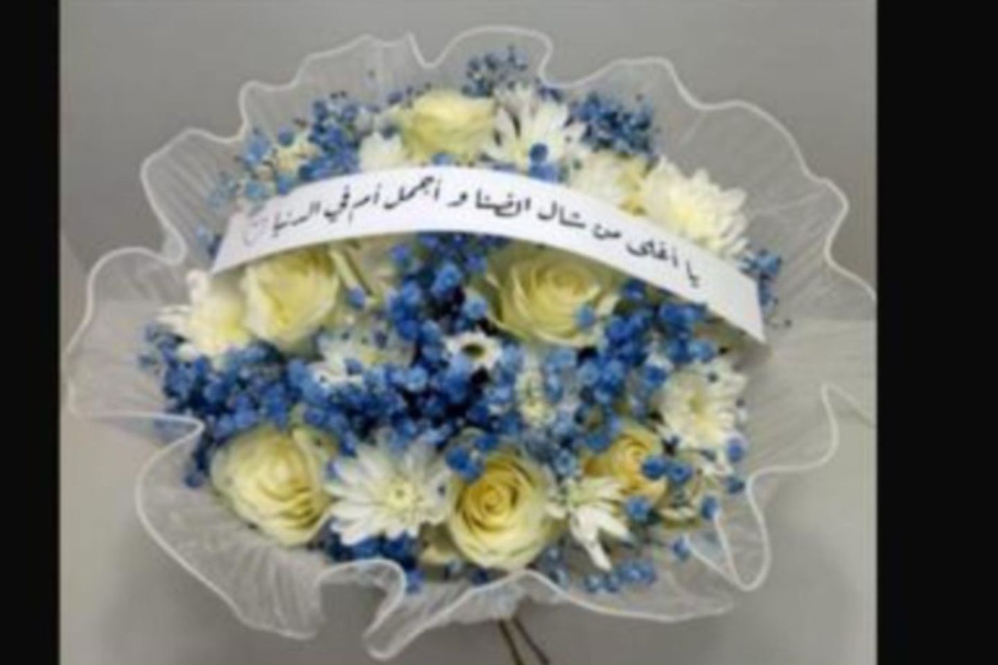 باقة مولود -مع شريطة يا أغلى من شال الضنا