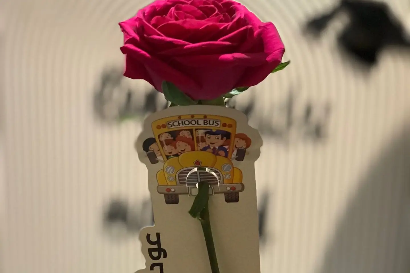 Back To School Theme Rose